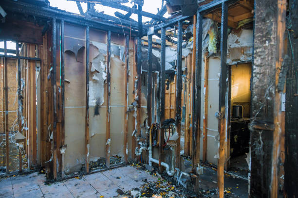 Professional Emergency Fire Cleanup technician working in South Shore, KY